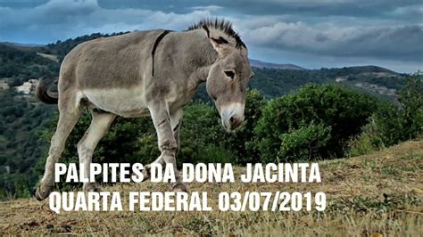 palpites jacinta|PALPITES DA DONA JACINTA Public Group .